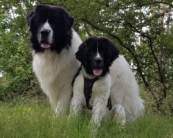 Bowdynn & Dayo