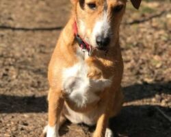 Kika
