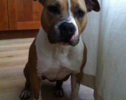 Lola