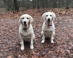 Flo & Pepper